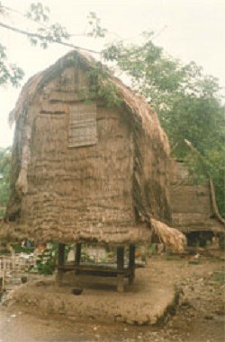 Family Rice Storage Barn